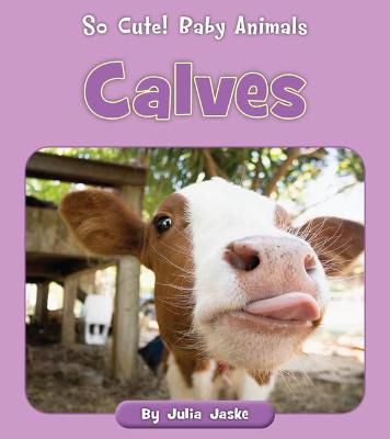 Book cover for Calves