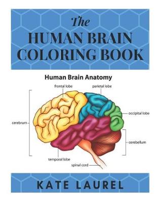 Book cover for The Human Brain Coloring Book