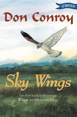 Book cover for Sky Wings