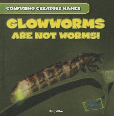 Book cover for Glowworms Are Not Worms!