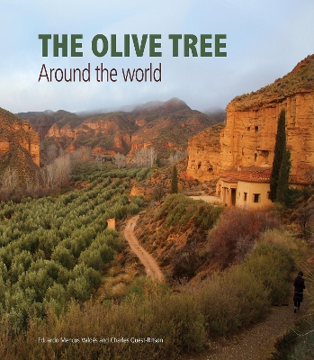 Book cover for The Olive Tree