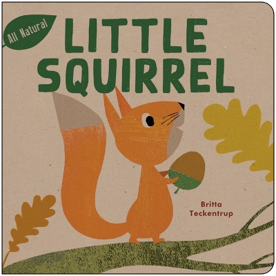 Book cover for Little Squirrel