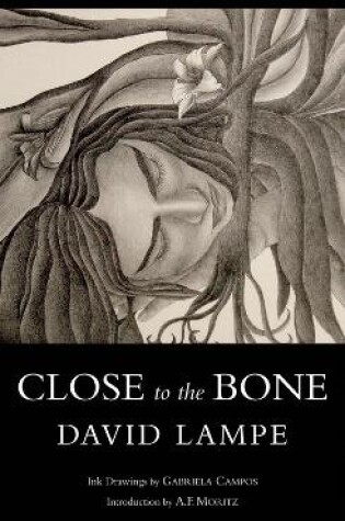 Cover of Close to the Bone