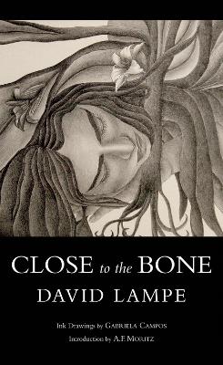 Book cover for Close to the Bone