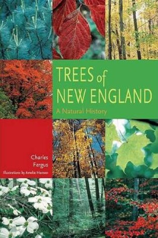 Cover of Trees of New England