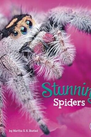 Cover of Stunning Spiders (Bugs are Beautiful!)