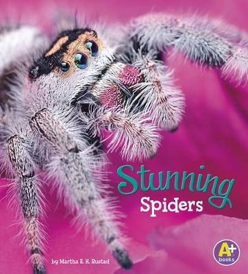 Book cover for Stunning Spiders (Bugs are Beautiful!)