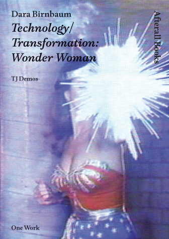 Book cover for Dara Birnbaum
