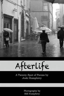 Book cover for Afterlife