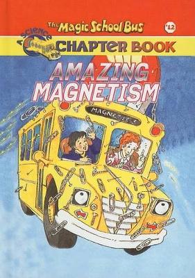 Cover of Amazing Magnetism