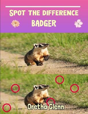 Book cover for Spot the difference Badger