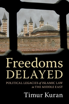 Book cover for Freedoms Delayed