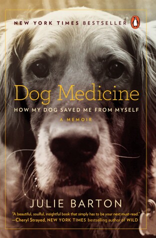 Book cover for Dog Medicine