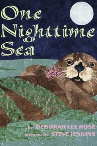 Cover of One Nighttime Sea