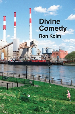 Book cover for Divine Comedy