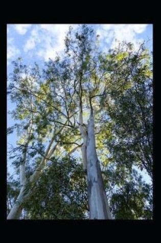 Cover of Massive Eucalyptus Tree in Australia Journal