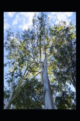 Book cover for Massive Eucalyptus Tree in Australia Journal