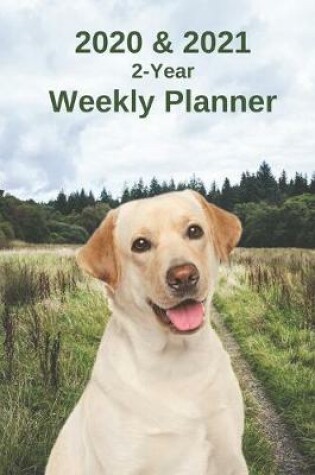 Cover of 2020 & 2021 Weekly Planner - Two Year Appointment Book Gift - Two-Year Agenda Notebook for Lab Dog Owners