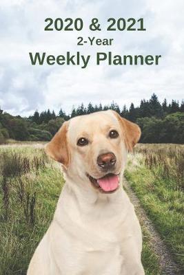 Book cover for 2020 & 2021 Weekly Planner - Two Year Appointment Book Gift - Two-Year Agenda Notebook for Lab Dog Owners