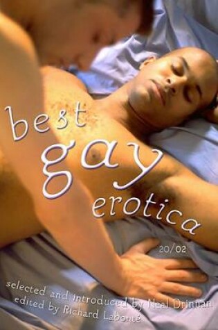 Cover of Best Gay Erotica 2002