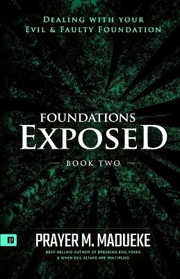 Book cover for Foundations Exposed (Book 2)