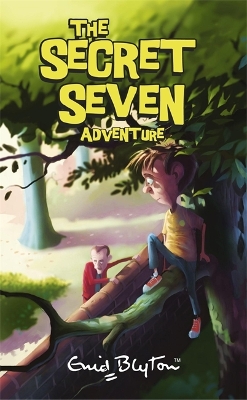 Book cover for Secret Seven Adventure