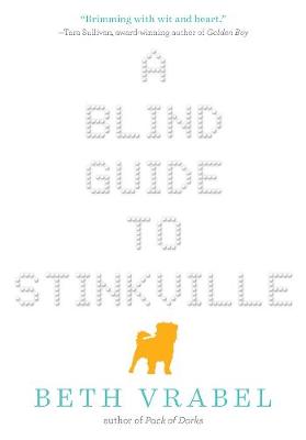 A Blind Guide to Stinkville by Beth Vrabel