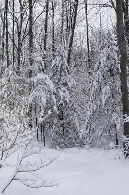 Cover of Winter Journal Snowy Woods Photo