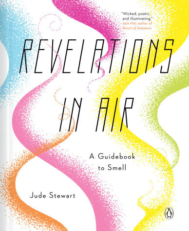 Book cover for Revelations in Air