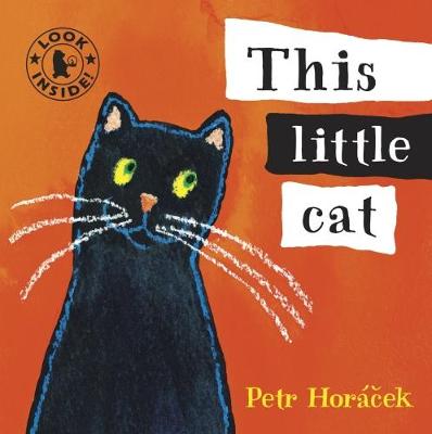 Book cover for This Little Cat