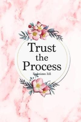 Book cover for Trust The Process - Ecclesiates 3