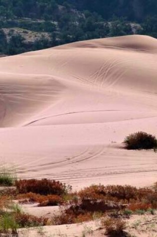 Cover of The Pink Sand Dunes in the Utah Desert