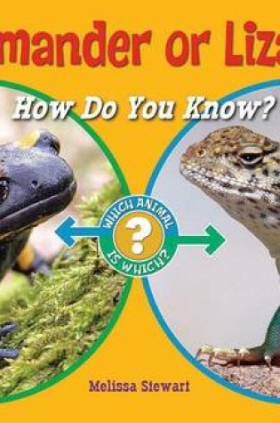 Cover of Salamander or Lizard?: How Do You Know?