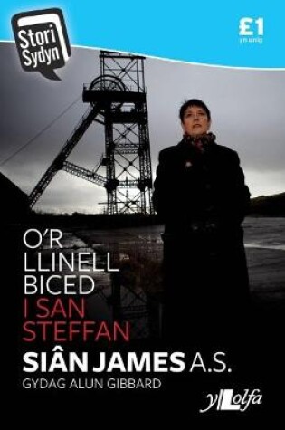 Cover of Stori Sydyn: O'r Llinell Biced i San Steffan