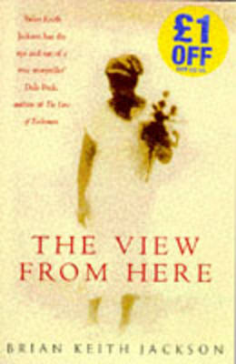 Book cover for The View from Here