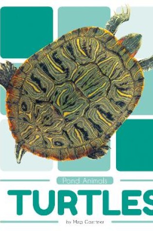 Cover of Pond Animals: Turtles