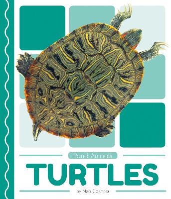 Book cover for Turtles