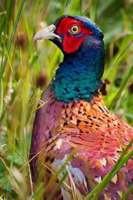 Book cover for The Pheasant Journal