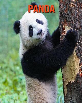 Book cover for Panda