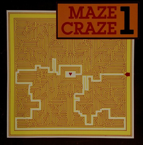 Book cover for Maze Craze