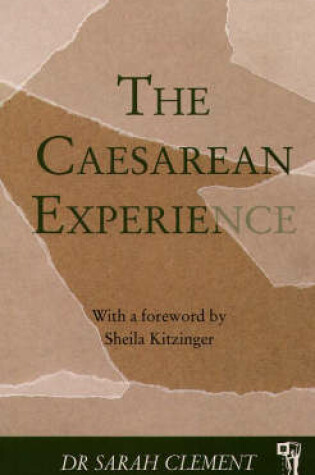 Cover of The Caesarean Experience