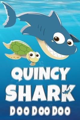 Book cover for Quincy