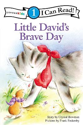 Book cover for Little David's Brave Day