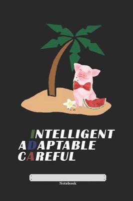 Book cover for Intellegent Adaptable Careful