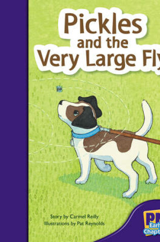 Cover of Pickles and the Very Large Fly
