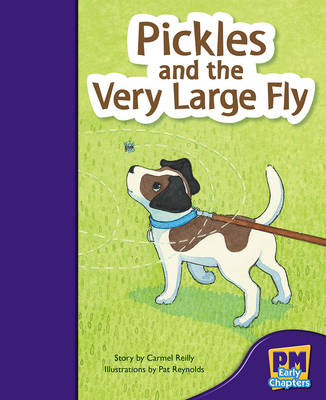 Book cover for Pickles and the Very Large Fly