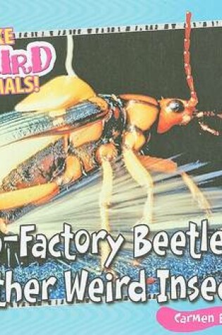 Cover of Bomb-factory Beetles and Other Weird Insects