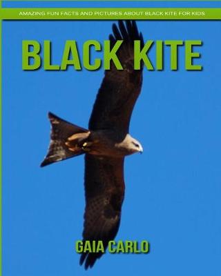 Book cover for Black Kite