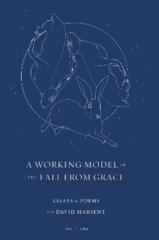 Cover of A Working Model of the Fall from Grace