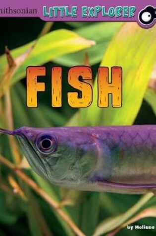 Cover of Fish: a 4D Book (Little Zoologist)